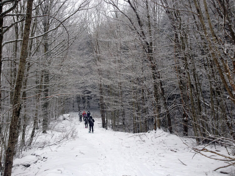 snowshoeing in Corno Alle Scale Regional Park